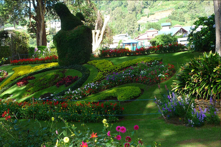 Galway's Land Bird Sanctuary