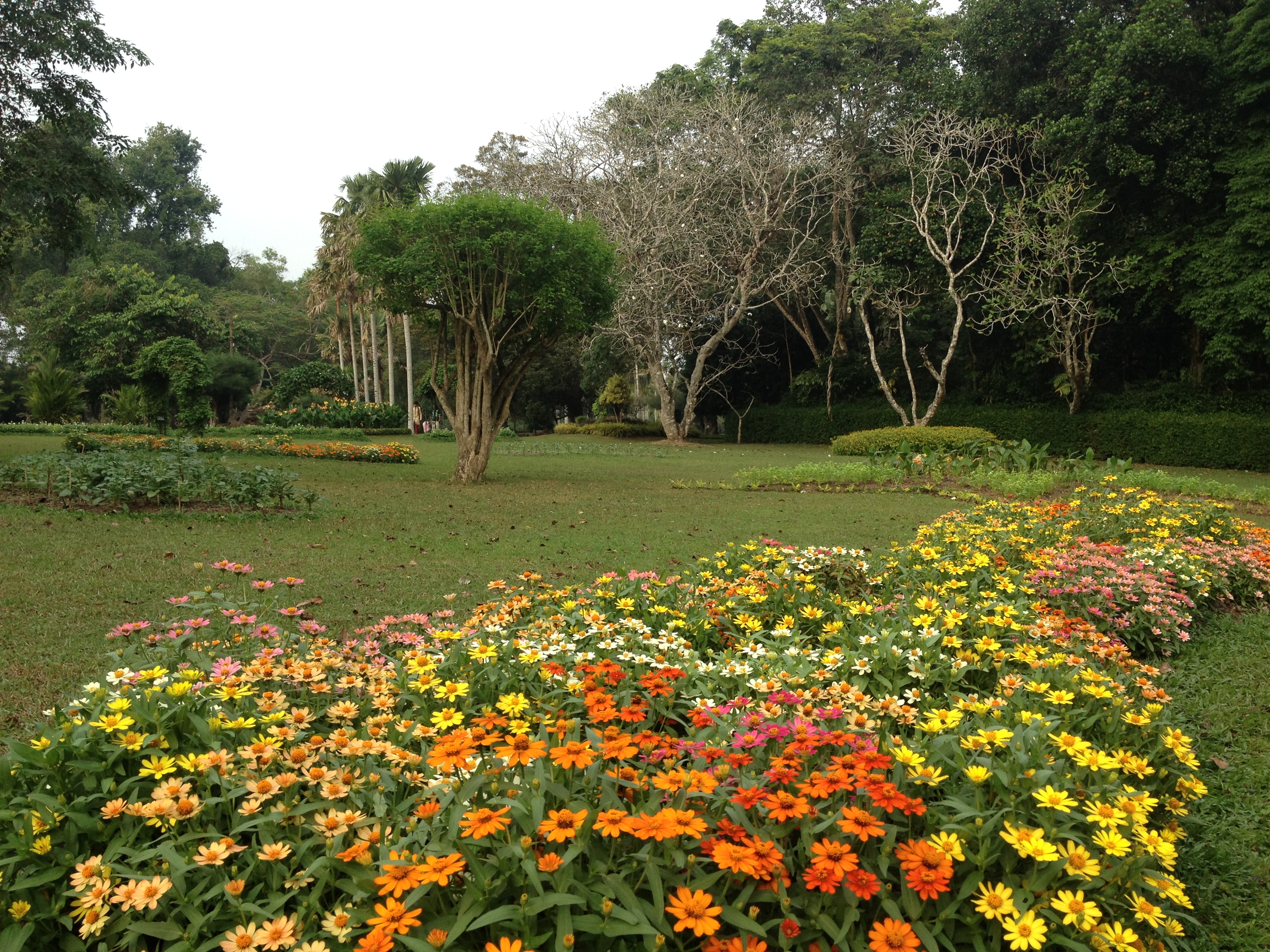 Henarathgoda Botanical Garden (Gampaha Botanical Garden)