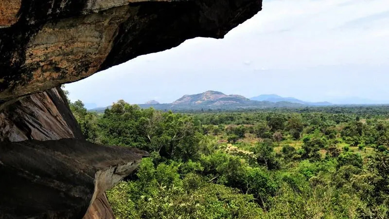 Kudagala Forest Reserve & Monastery