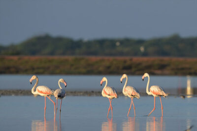 Kumana National Park