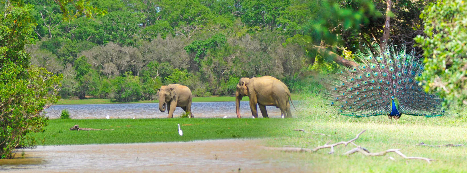 Lahugala Kitulana Forest Reserve