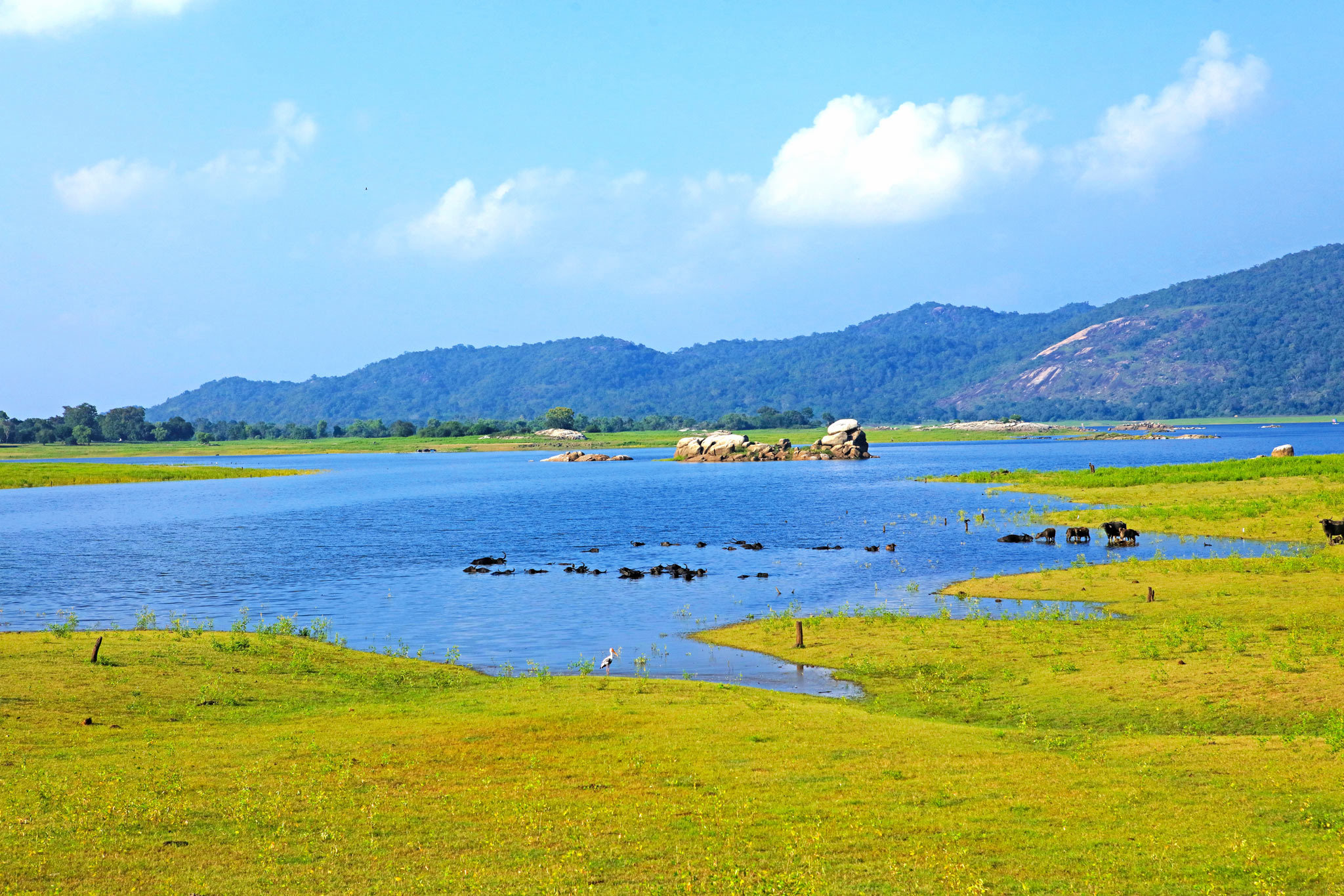 Maduru Oya Reservoir