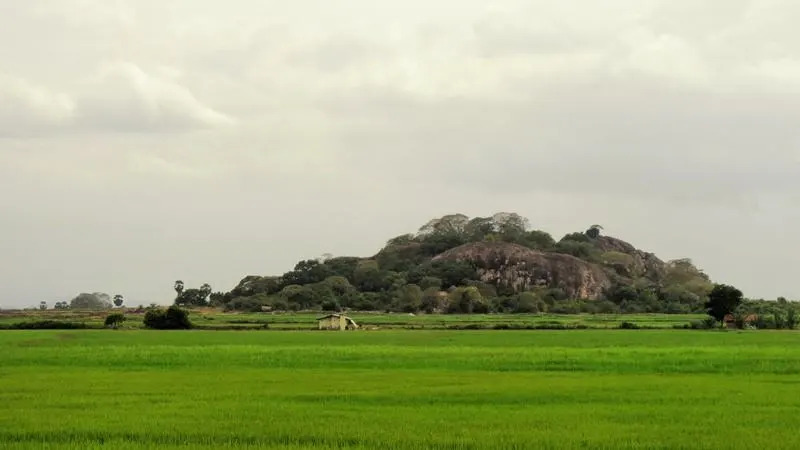 Mullikulamalai (Batuwawu Kanda)