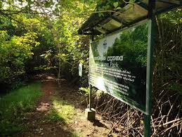 Nara Mangrove Garden (Kadolkele Mangrove Reserve, NARA)