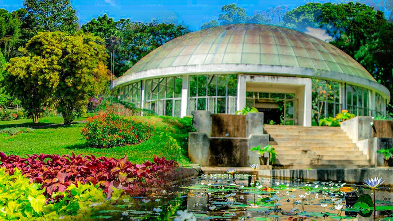 Peradeniya Royal Botanical Gardens