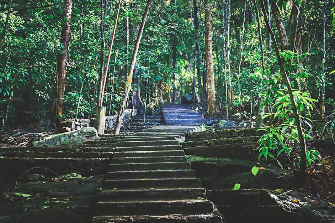 Piyangala Forest Hermitage