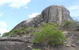 The Dagger Clawed People (Nittaewo)